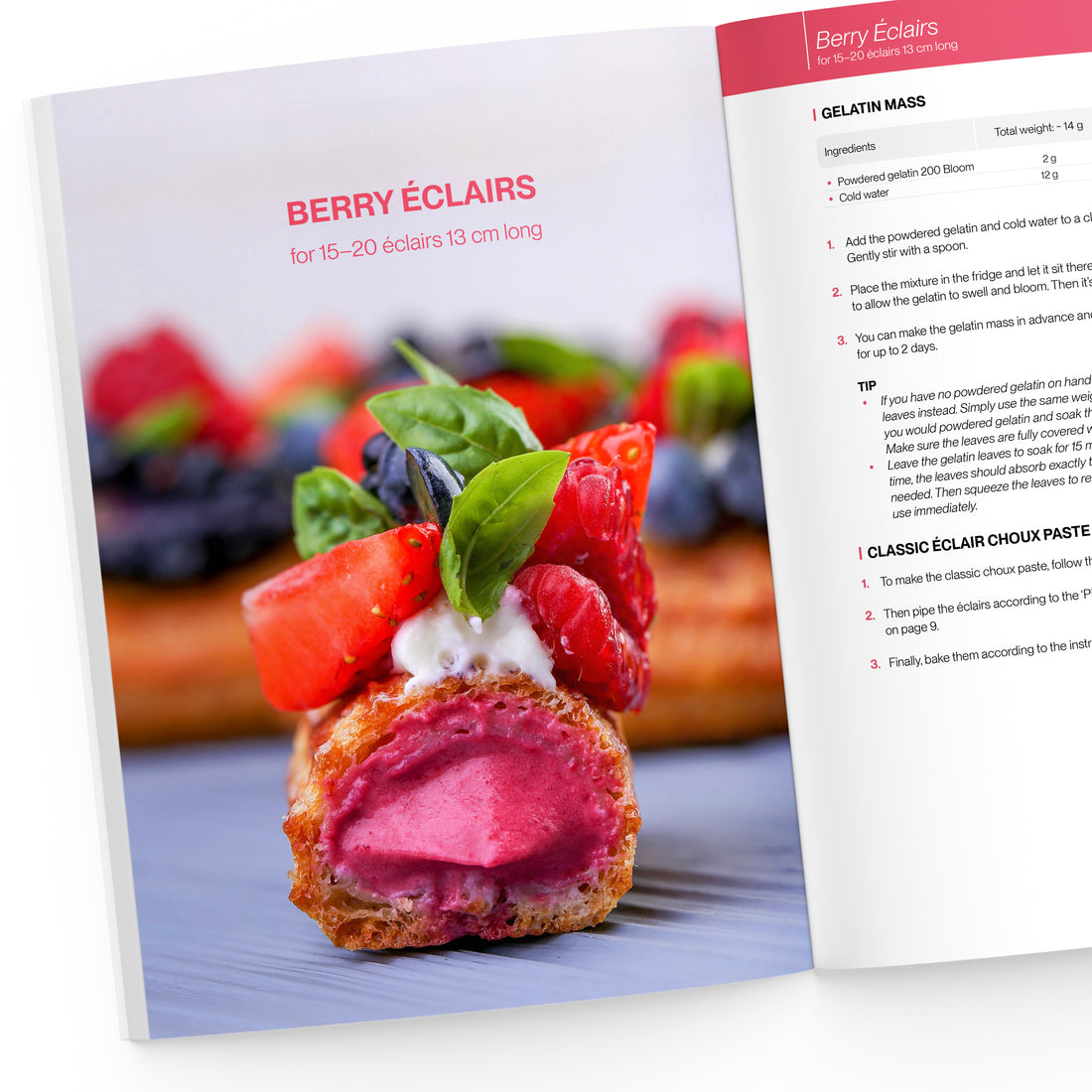 Berry Eclair in a cut view on Fashion Eclair Collection book page