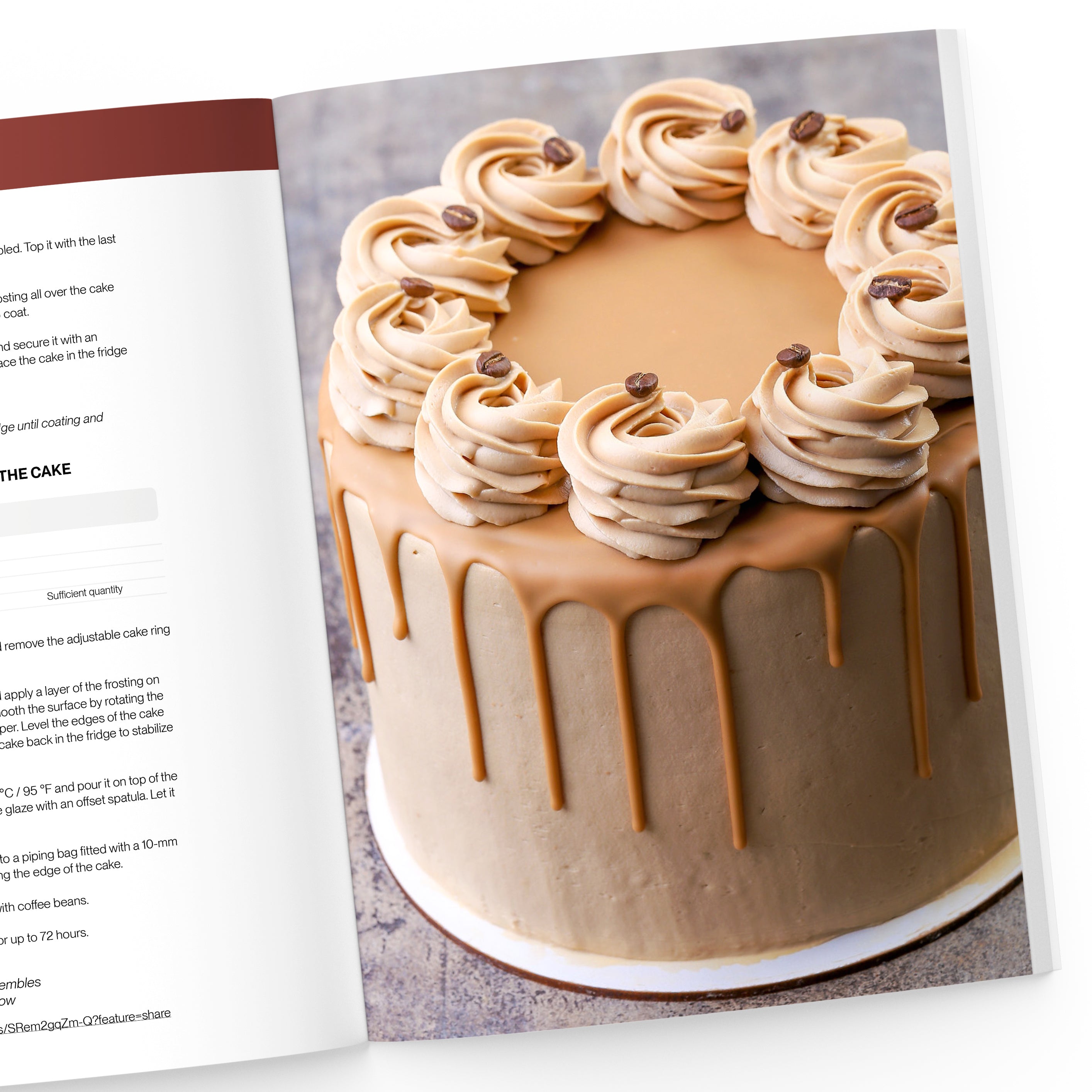 Delectable Cake Recipes from Scratch: For Those Who Never Knew Baking Could  Be So Easy! eBook by Martha Stone - EPUB Book | Rakuten Kobo United States
