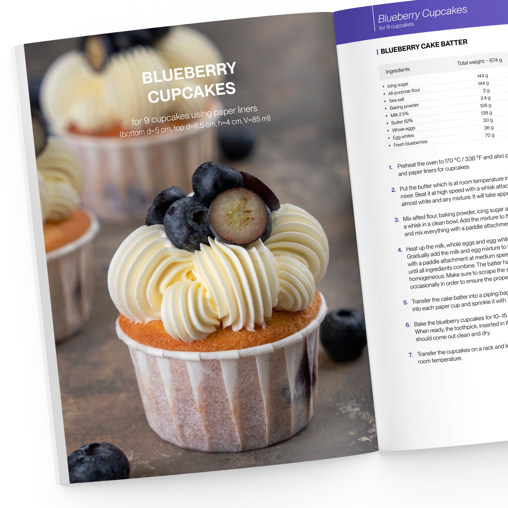 The Big Cupcake CookBook