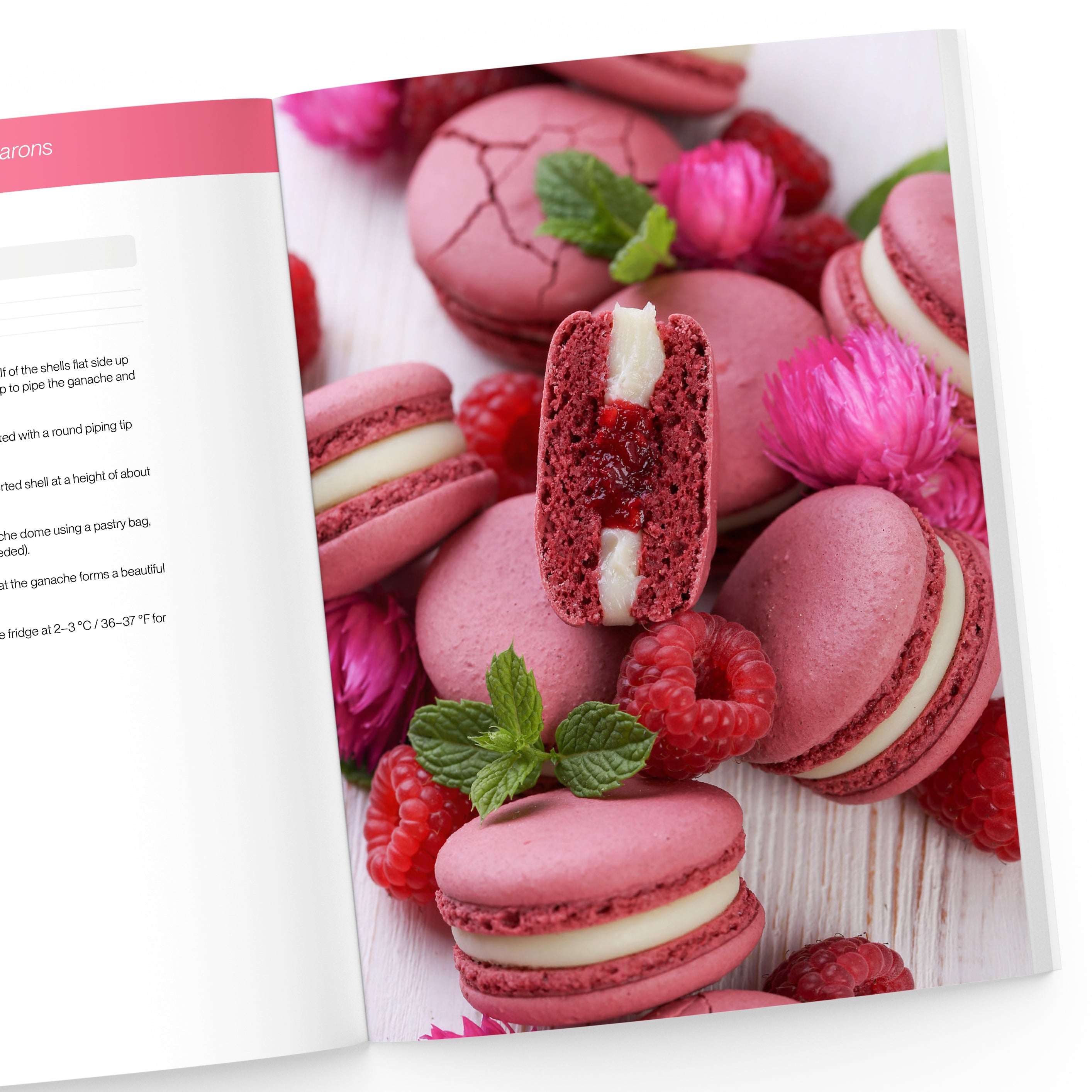 The Big Macaron Cookbook