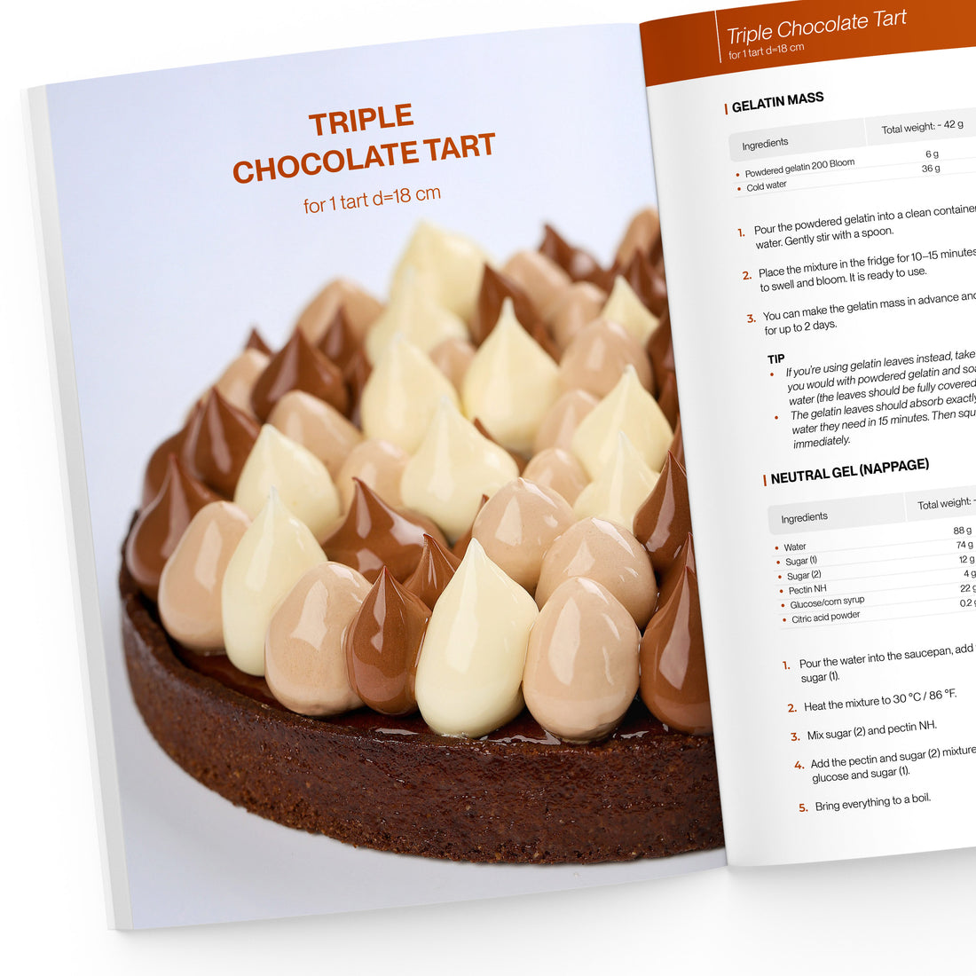 The Ultimate Chocolate Book: 16 pastries for true chocolate lovers